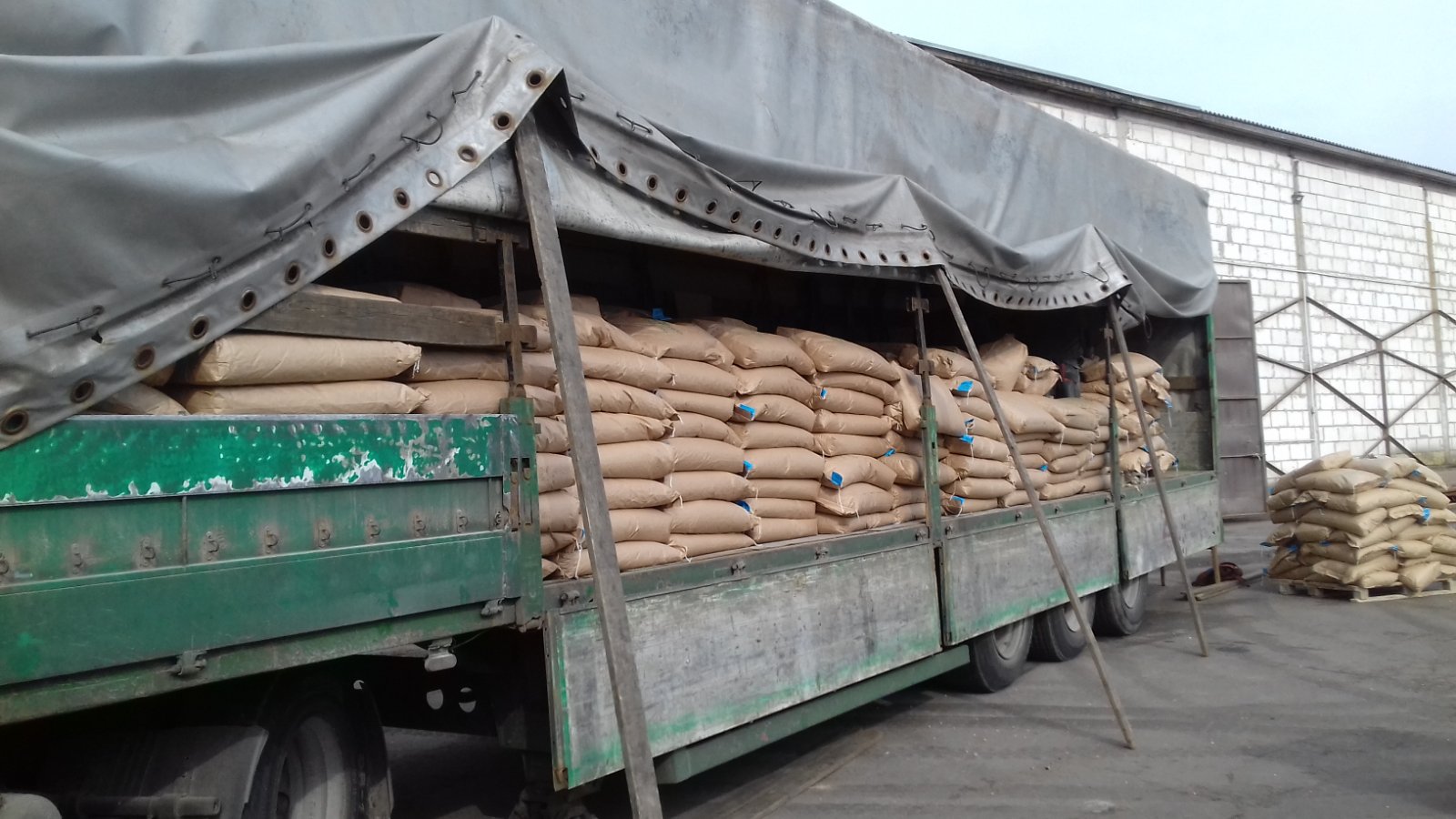 изображение_viber_2025-11-22_18-33-21-321